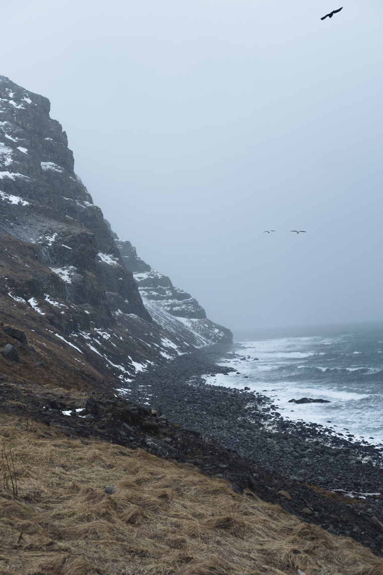 Coast_Bolungarvik_Iceland-1